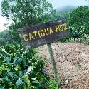 Our introduction to Finca La Castilla in Nicaragua's Jinotega region came during the early pandemic period in the form of the awesome natural process Blueberry Candy, one of close to 150 microlots produced ...